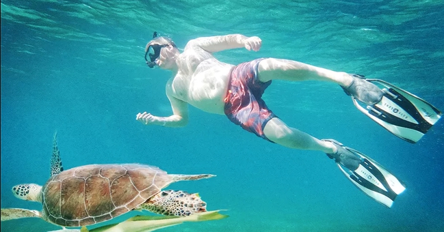 Charter Yacht Bayliner 35 - Day charter - 2008 - Nassau - Rose Island - Exumas