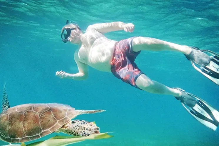 Charter Yacht Bayliner 35 - Day charter - 2008 - Nassau - Rose Island - Exumas