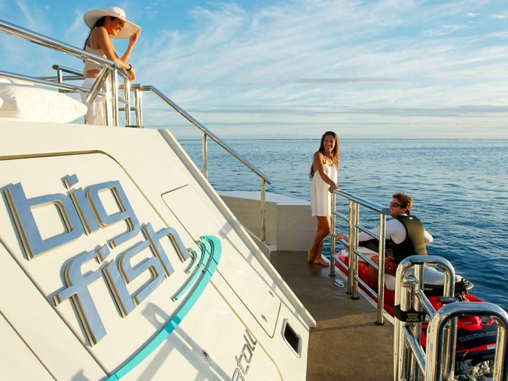 BIG FISH - McMullen and Wing 45m - Big Fish BIG FISH - McMullen and Wing 45m - Big Fish