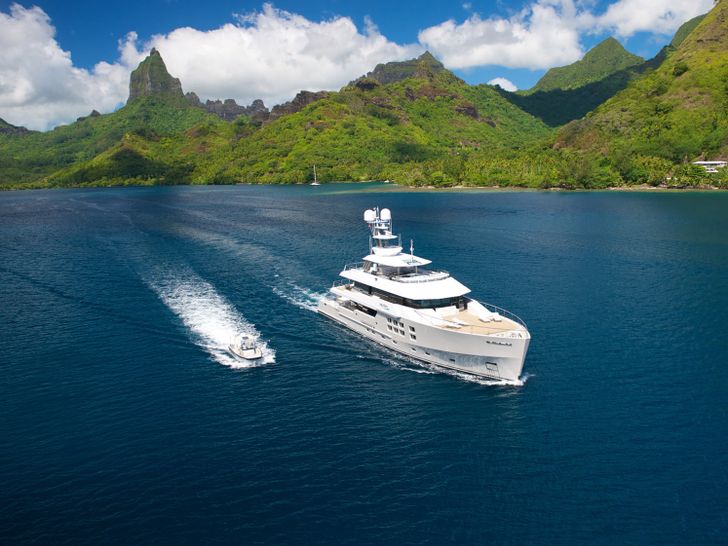 BIG FISH - McMullen and Wing 45m - Tender BIG FISH - McMullen and Wing 45m - Tender