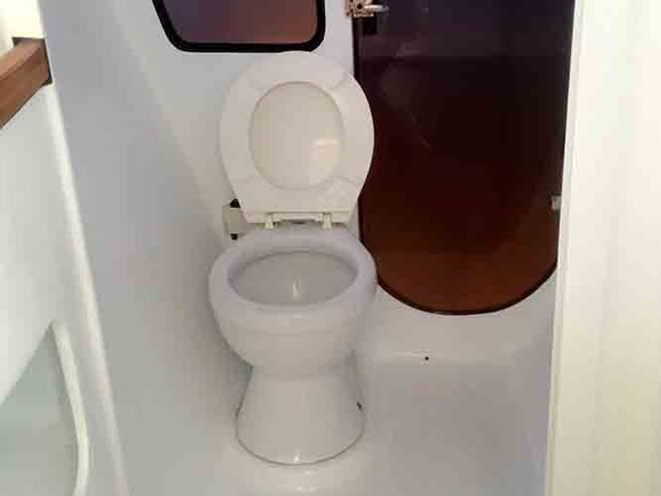 Custom 38 Cat - Toilet