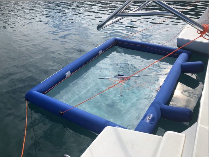 jellyfish pool jellyfish pool