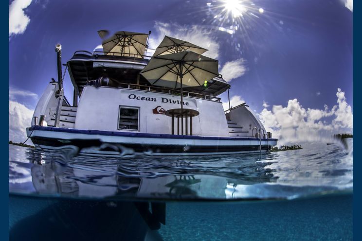 Charter Yacht OCEAN DIVINE - Custom build 110ft - 6 Cabins - Maldives,Male - Indian Ocean
