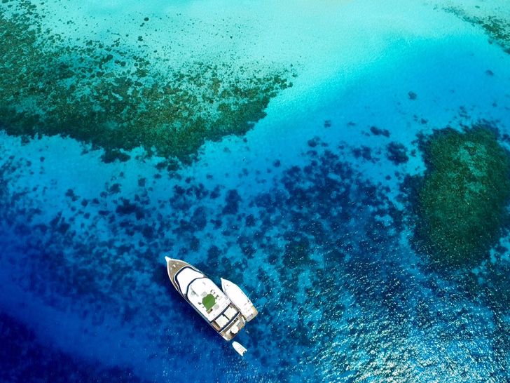 Ocean Divine Ocean Divine