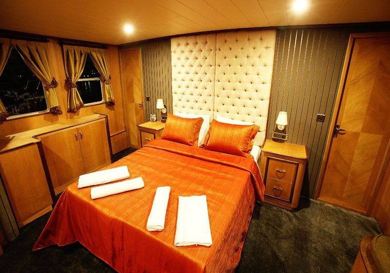 SIMAY S Cabin