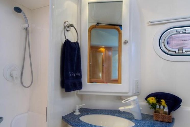 Charter Yacht THE BIG DOG - Leopard 62 - 4 Cabins - Tortola - BVI - USVI