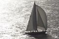 THE BLUE PETER - Classic Yacht - 4 Cabins - English Harbour - St Barths - St Martin THE BLUE PETER - Classic Yacht - 4 Cabins - English Harbour - St Barths - St Martin