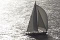 THE BLUE PETER - Classic Yacht - 4 Cabins - English Harbour - St Barths - St Martin