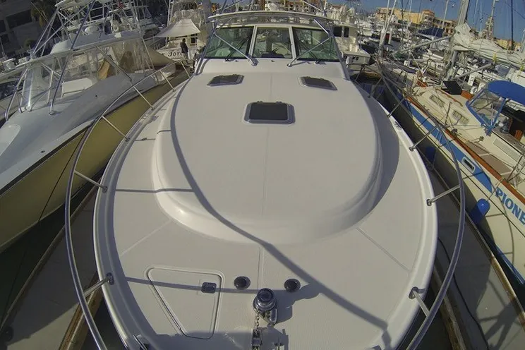 Charter Yacht Tiara 48 - 3 Cabins - La Paz - Cabo San Lucas - Mexico