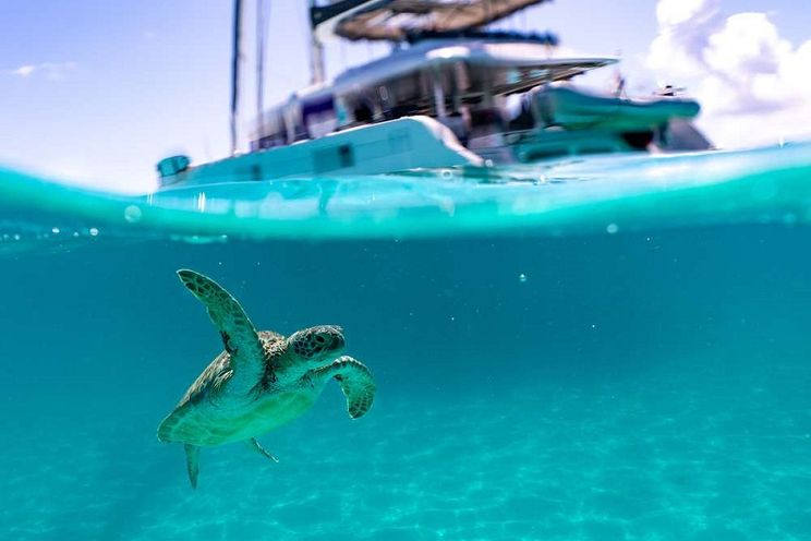 Charter Yacht HUNTRESS - Lagoon 620 - 4 Cabins - Tortola - Virgin Gorda - Anegada