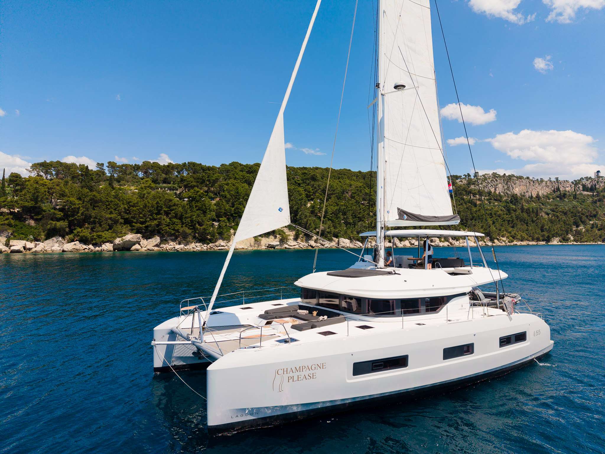 CHAMPAGNE PLEASE Lagoon 55 - profile