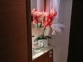 AQUANIMITY Dufour 48 - cabin 2 bathroom AQUANIMITY Dufour 48 - cabin 2 bathroom