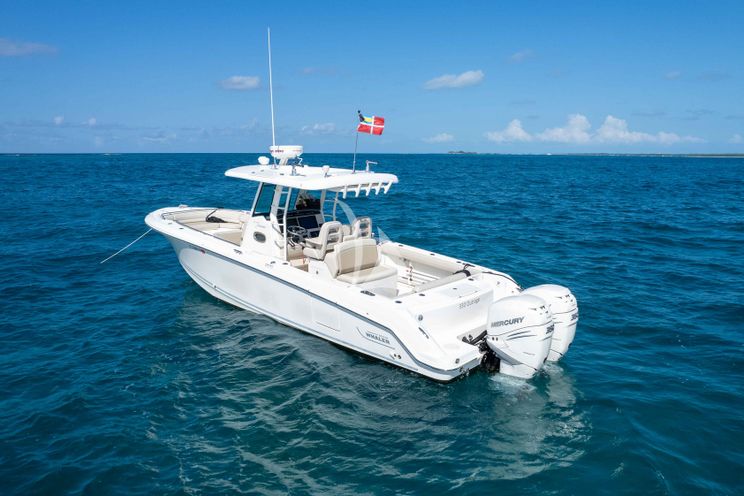 Charter Yacht INSIEME - Azimut 105 - 5 Cabins - Nassau - Bahamas - Newport - New England