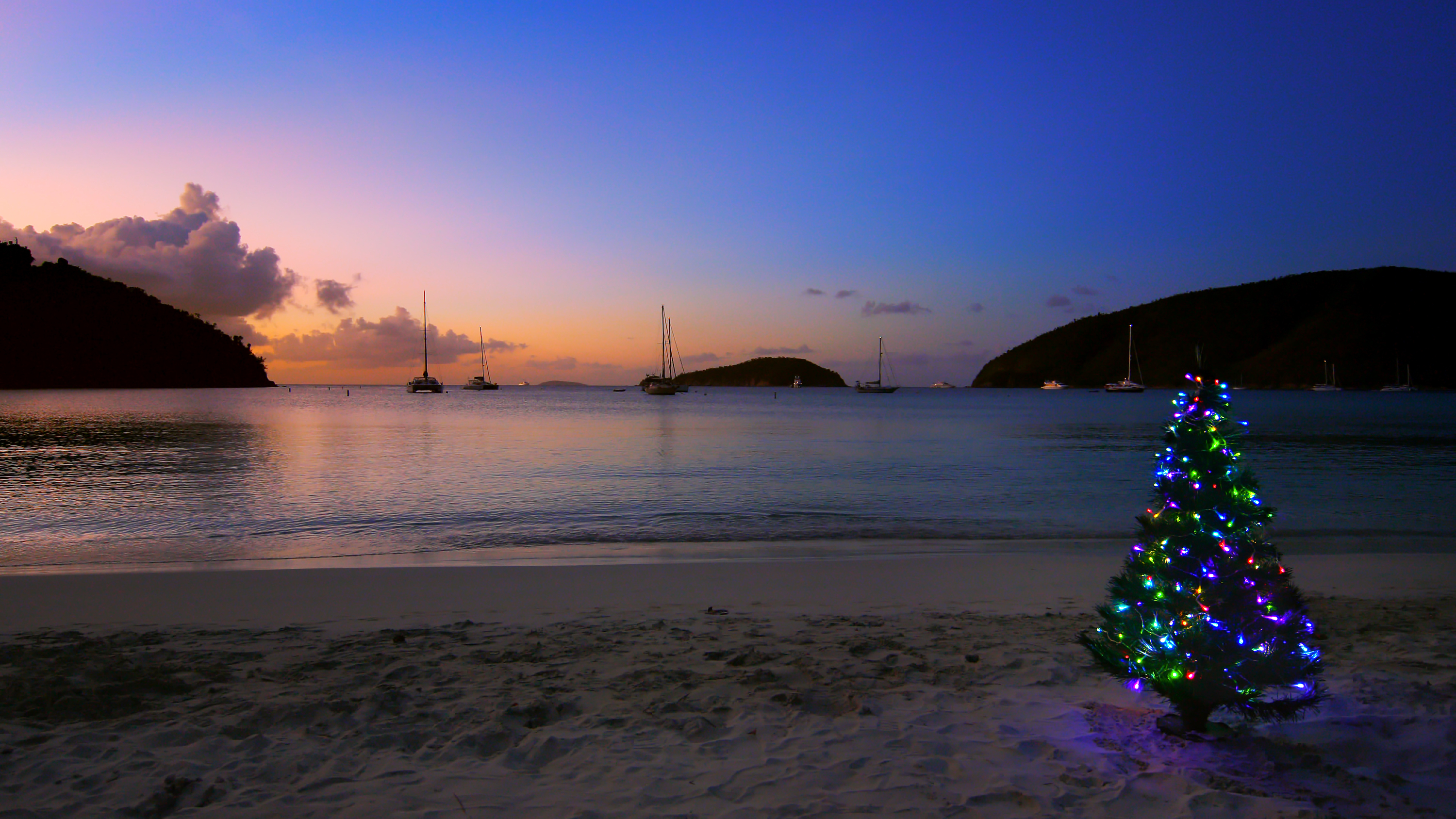 Christmas tree on the beach at sunset