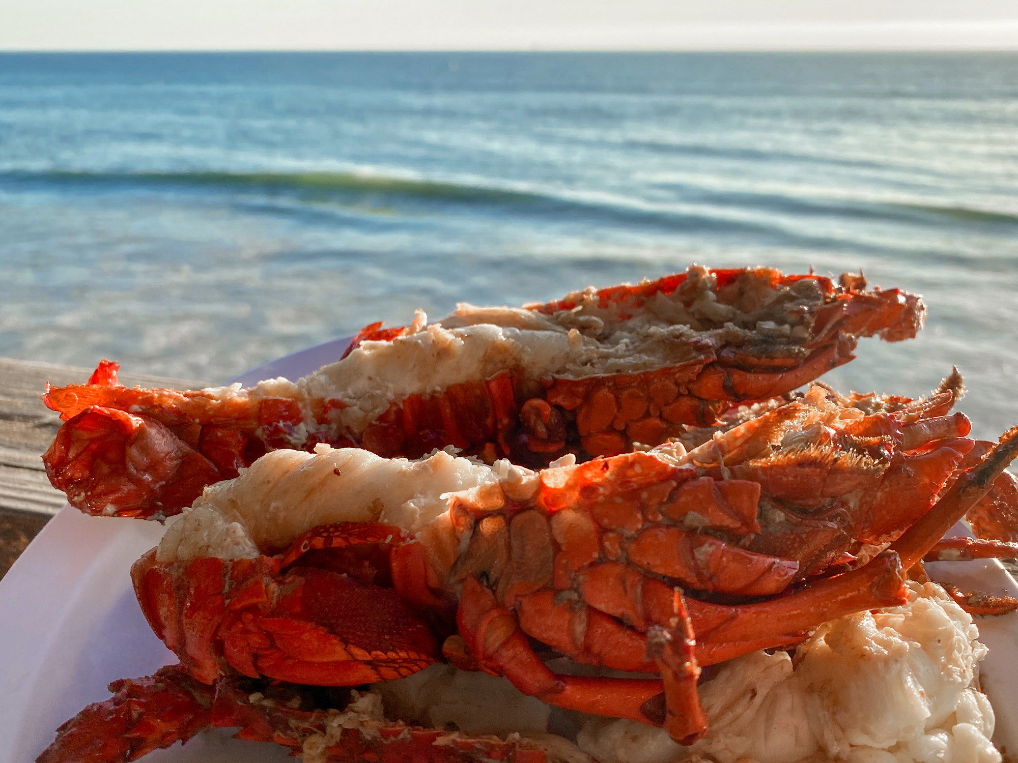 Fresh Lobster on Anegada