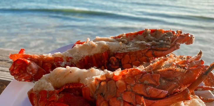 Fresh Lobster on Anegada