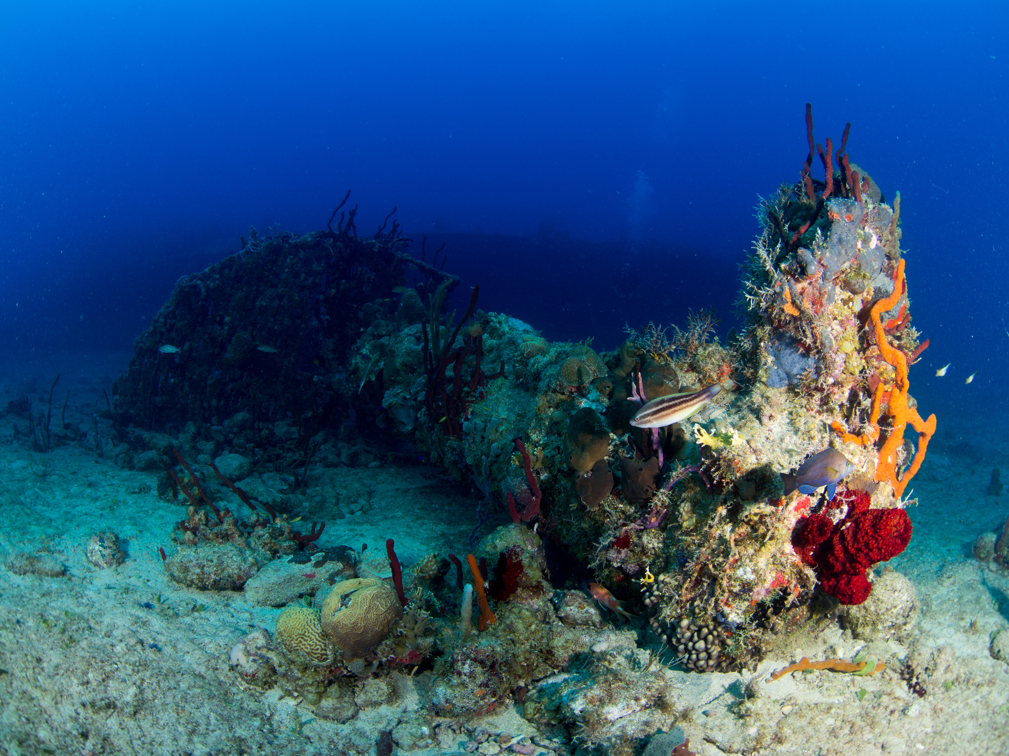 Wreck of the Rhone Dive Site