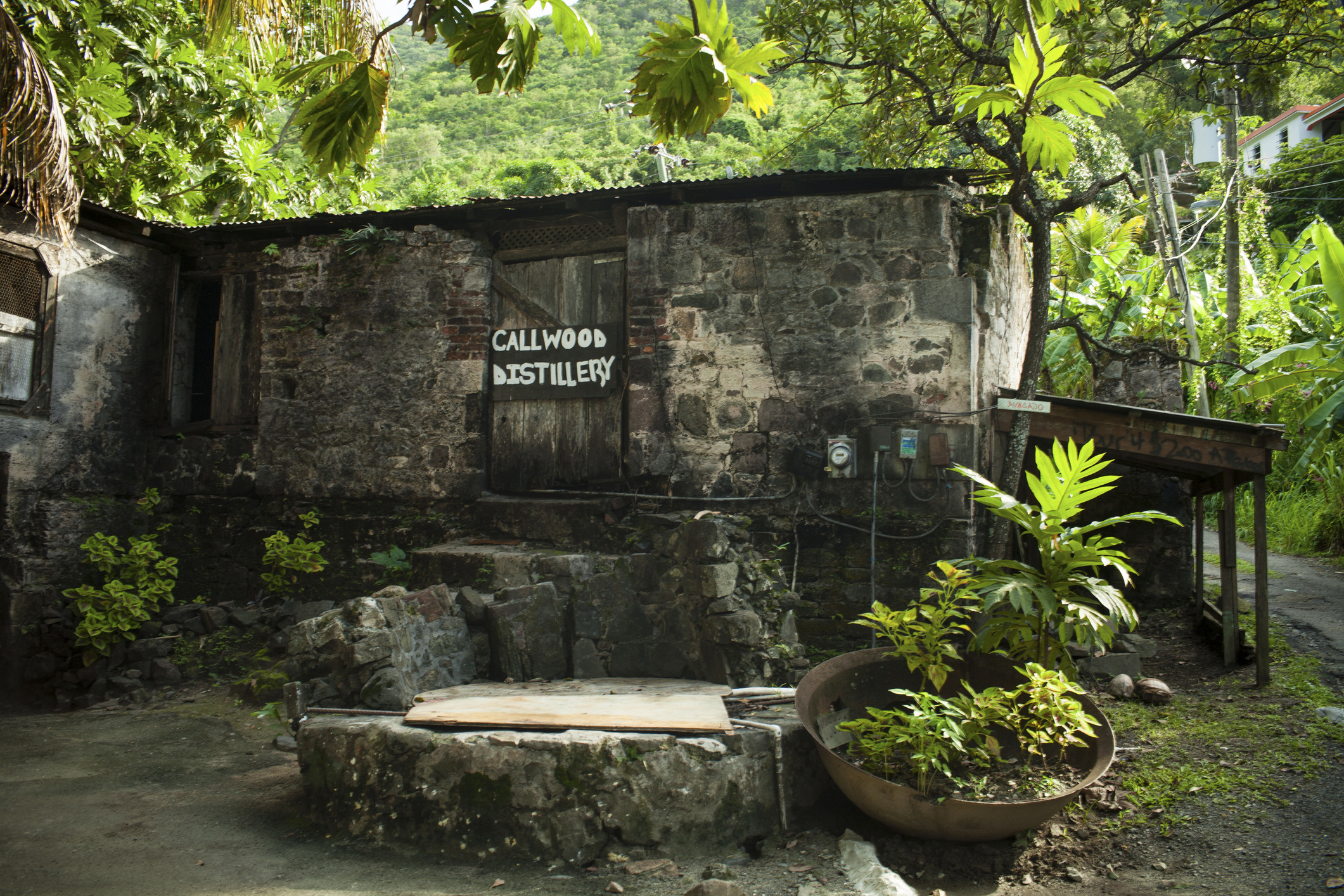 Callwood Rum Distillery on Tortola