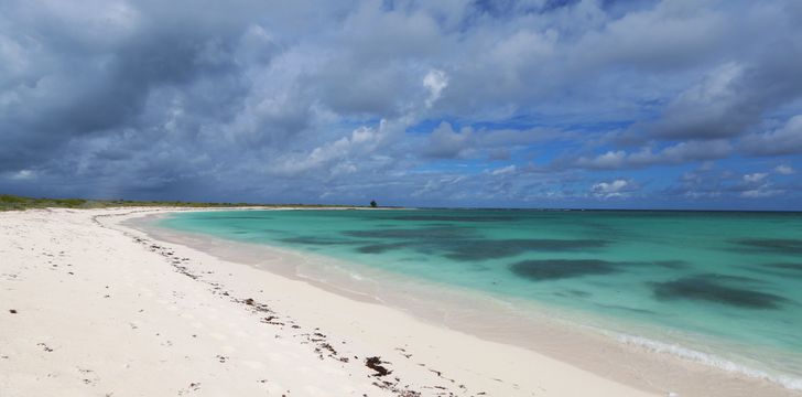 Cow Wreck Beach