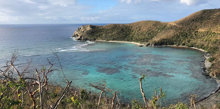 Money Bay,Norman Island