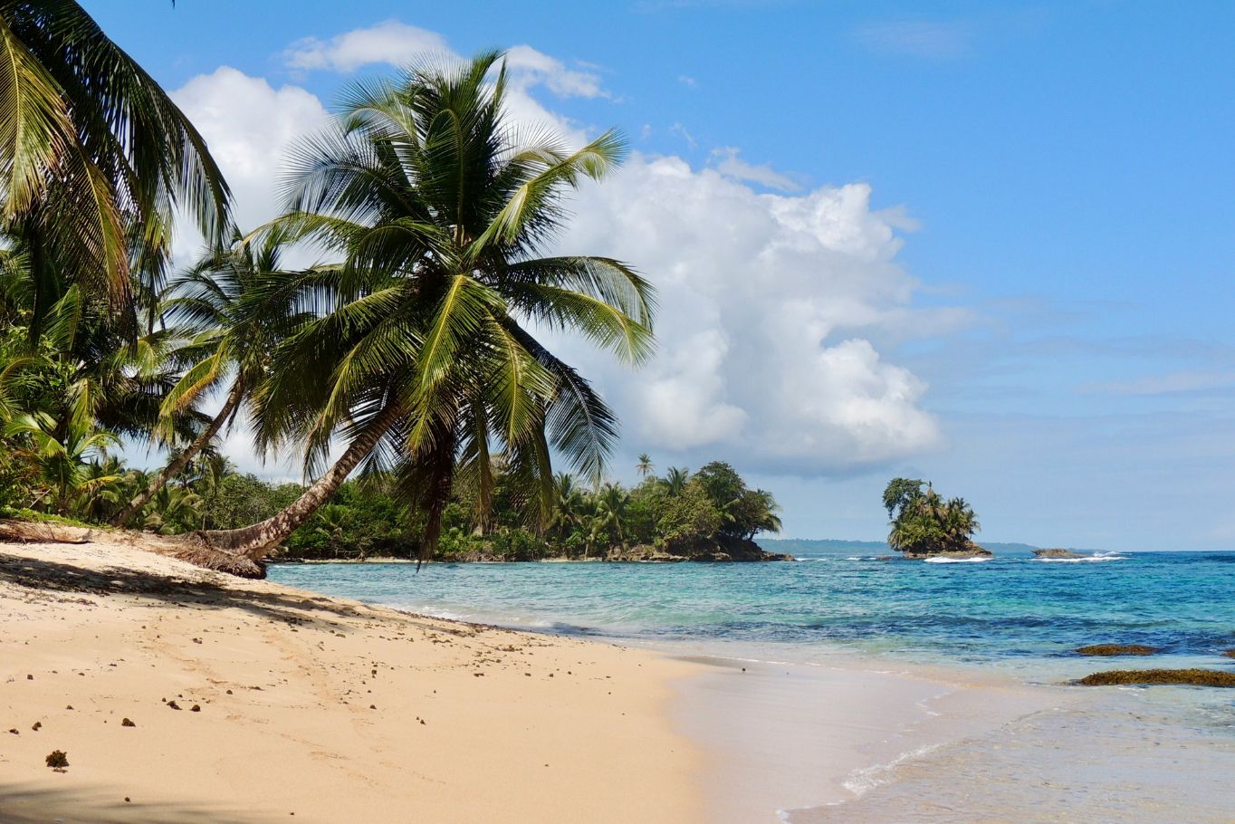 Beaches of Bocas Del Toro
