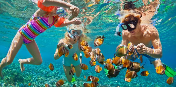 Family Snorkelling with Fish