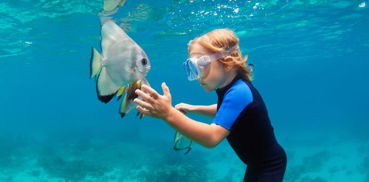 snorkelling on a family sailing vacation charters with children