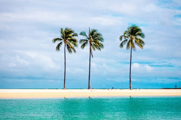 Desert Beaches in the Leeward Islands