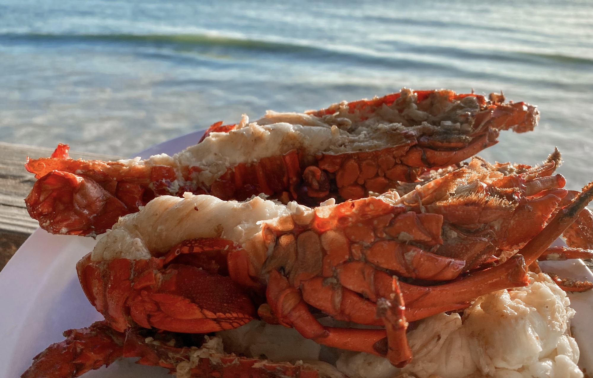 Fresh Lobster Dinner on the Beach