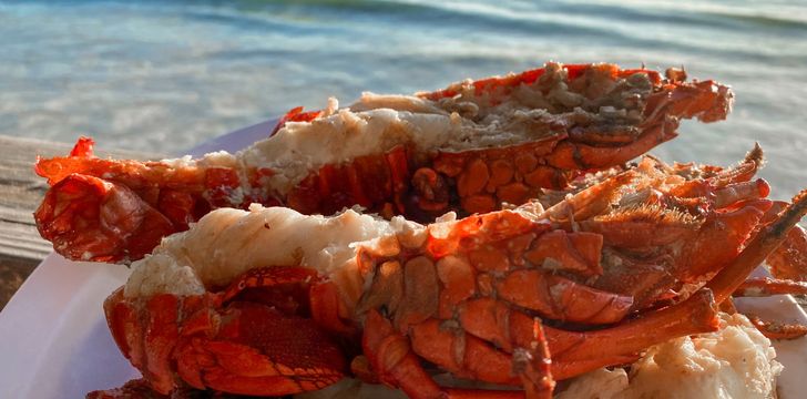 Fresh Lobster Dinner on the Beach