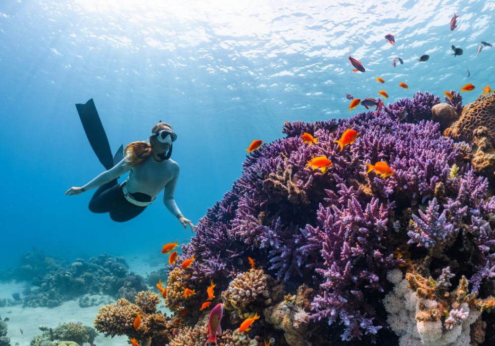 Snorkeling in the Bahamas