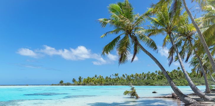 A pristine Fakarava beach