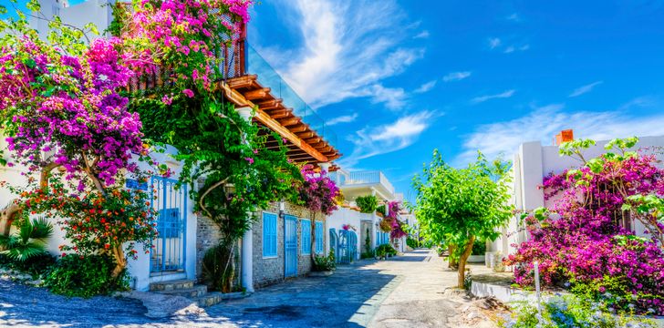 Charming Bodrum street