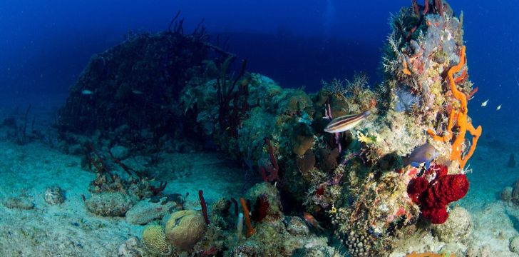 Wreck of the Rhone in the BVI