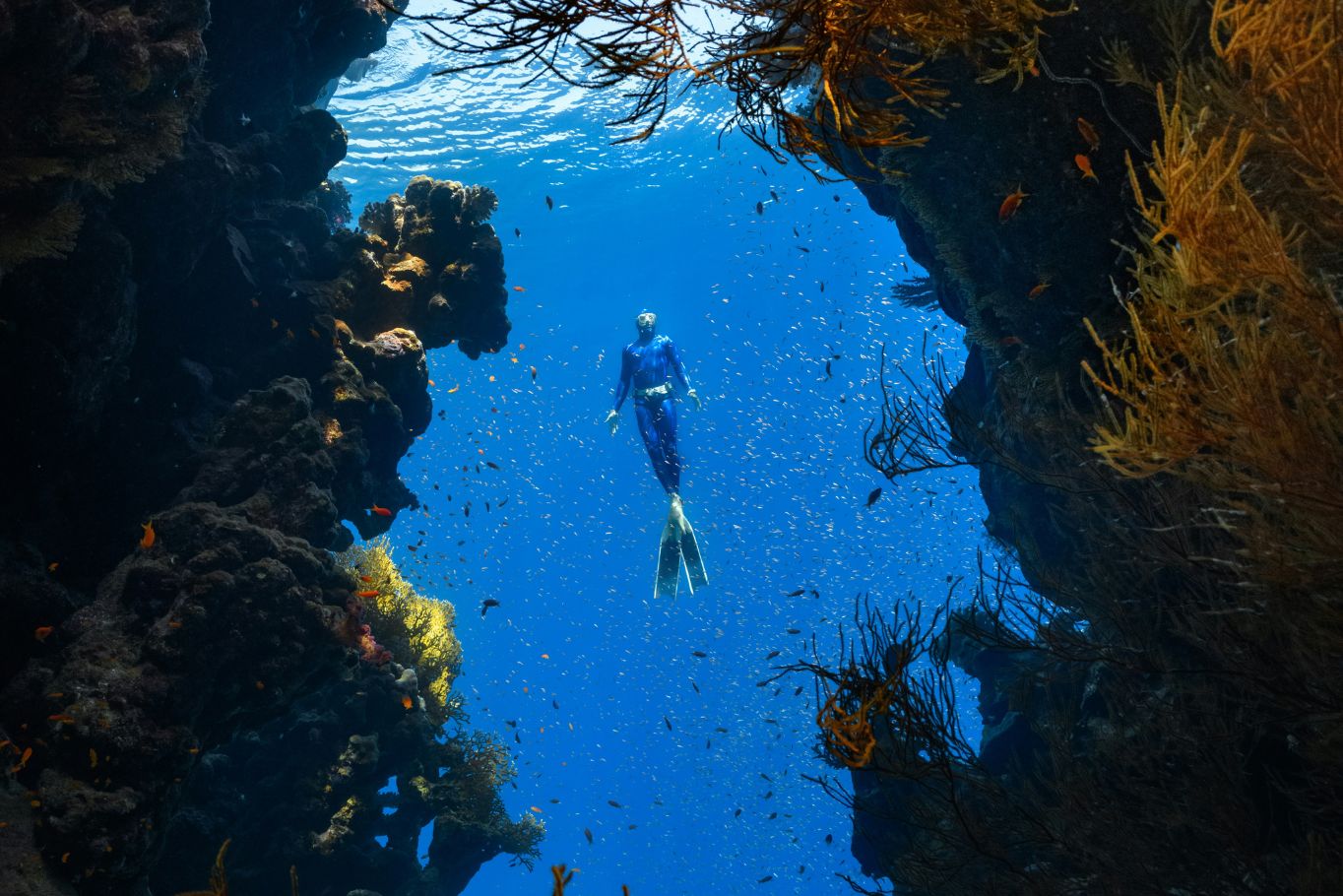 Scuba Diving in the Caribbean