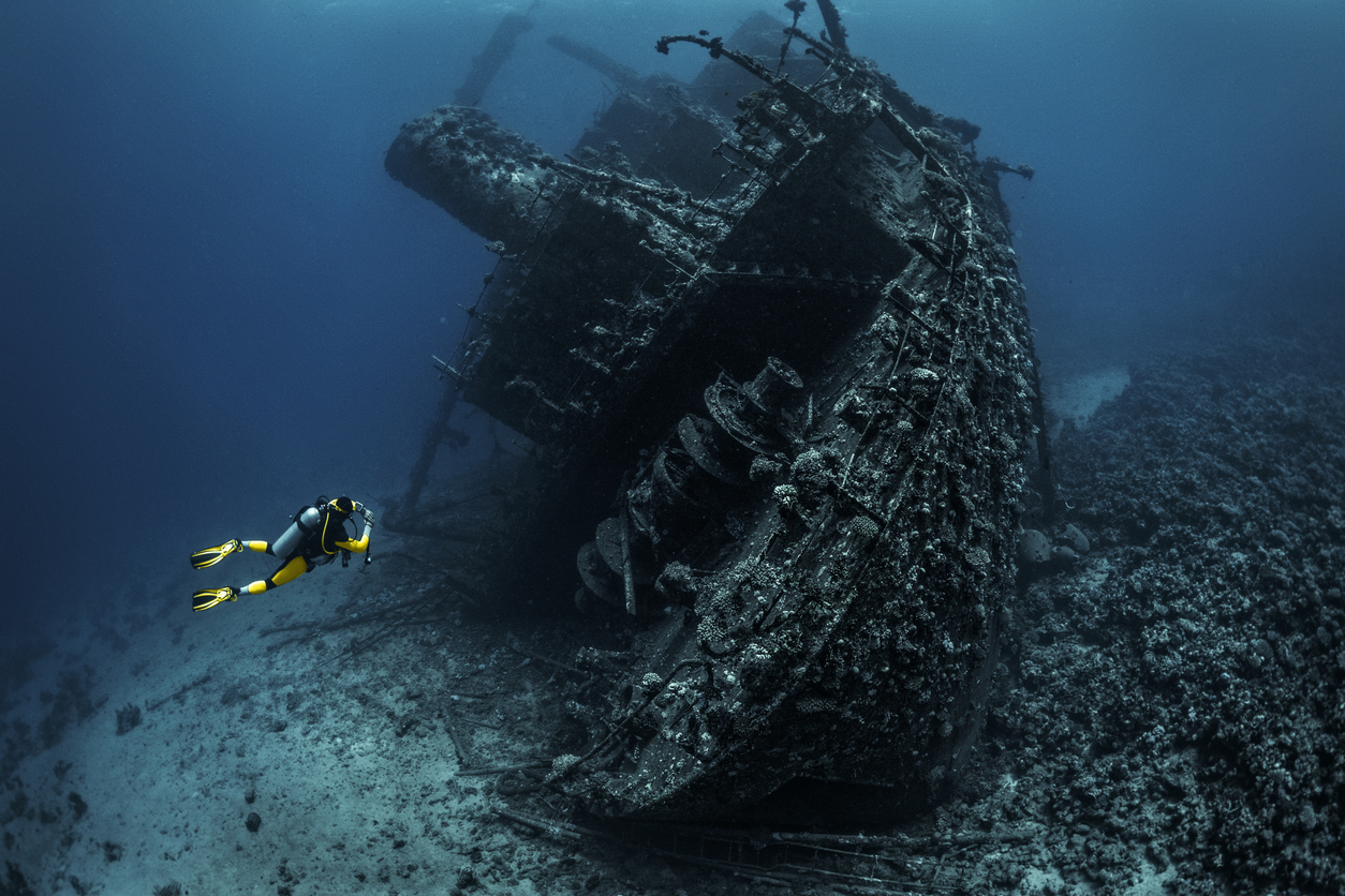 Scuba Diving in the Red Sea