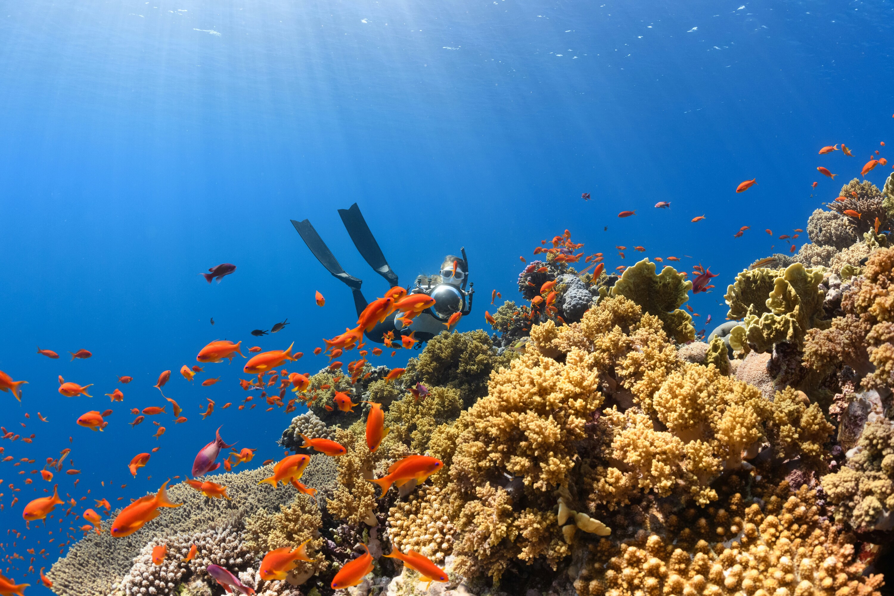 Diving on a luxury yacht charter