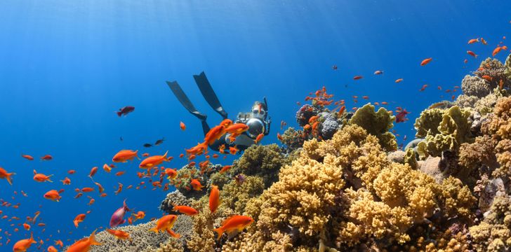 Diving on a luxury yacht charter