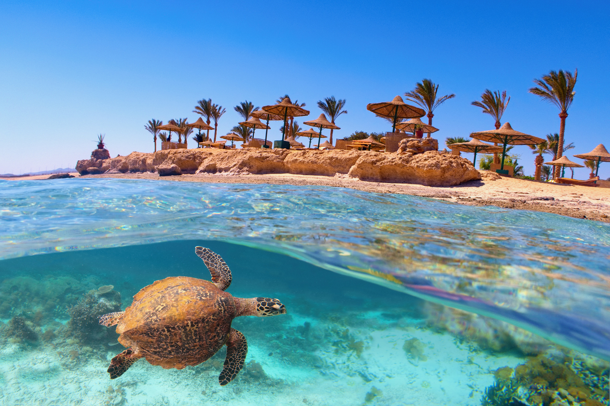 Beaches along the Red Sea