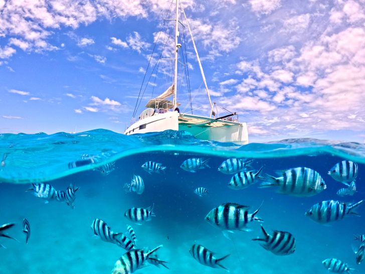 PAPILLON Nautitech 46 Fly - anchored with the teeming marine life PAPILLON Nautitech 46 Fly - anchored with the teeming marine life