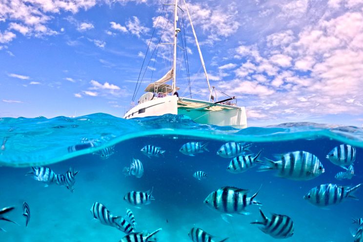 Charter Yacht PAPILLON - Nautitech 46 Fly - 3 Cabins - Nadi - Yasawa - Malolo - Tavarua - Fiji