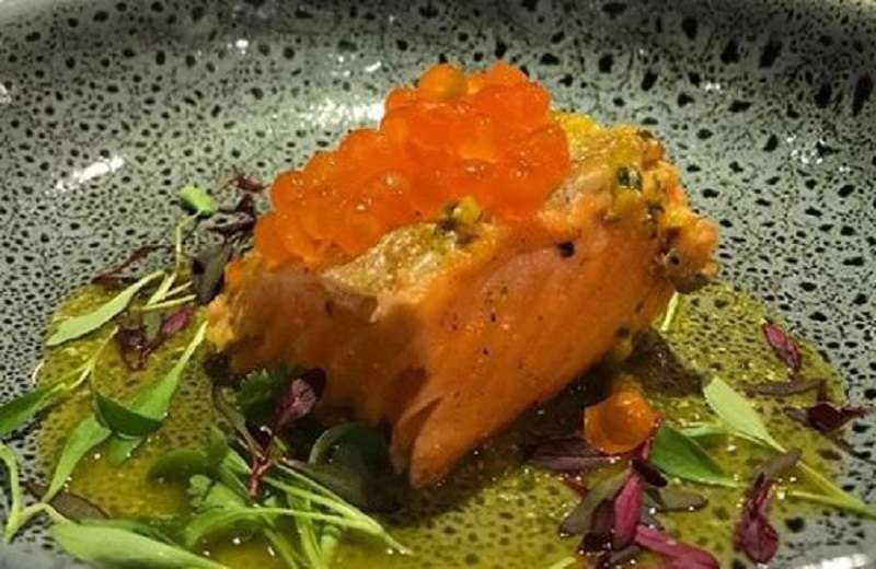 ORION Catana 90 Cuisine King Salmon