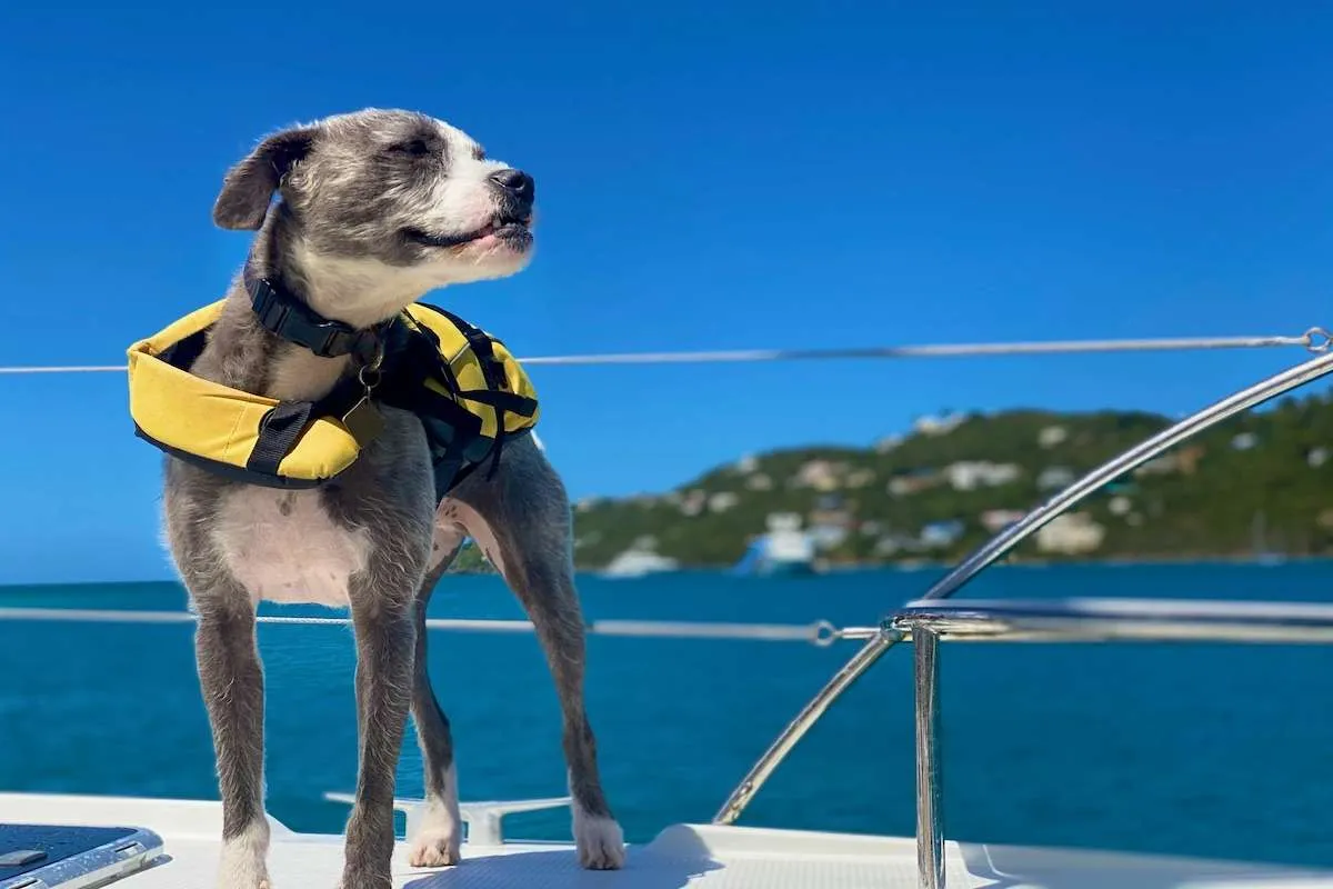 First Mate