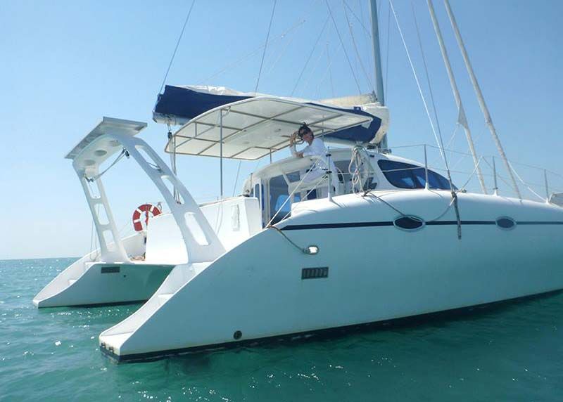 Custom 36 Cat - Rear View