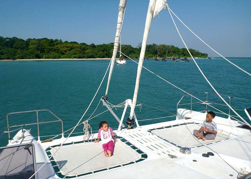 Custom 36 Cat - Trampoline
