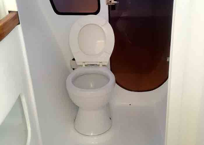 Custom 38 Cat - Toilet