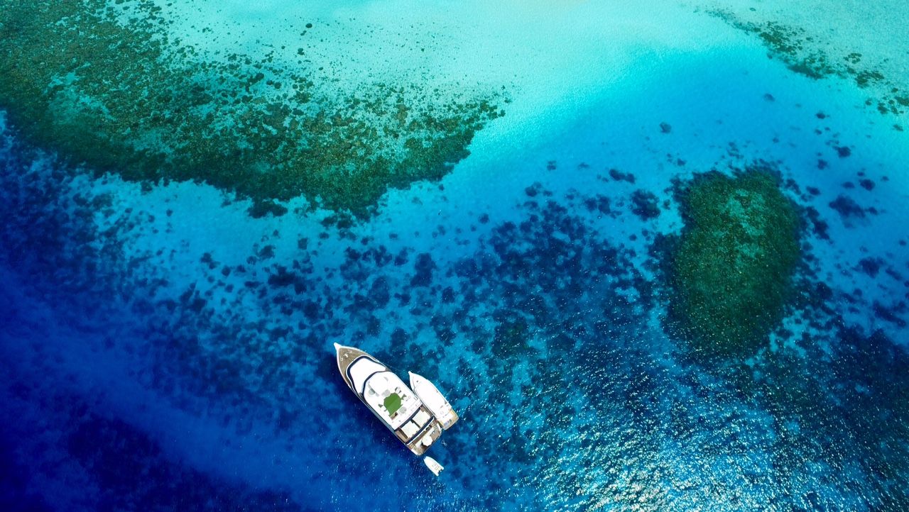 Ocean Divine