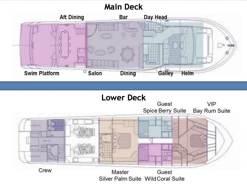 layout