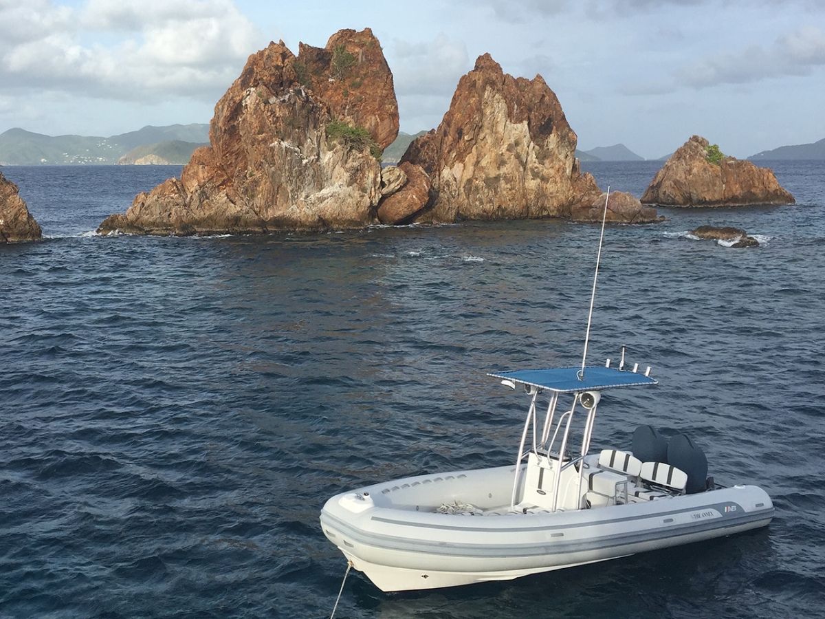 THE ANNEX Leopard 58 Crewed Catamaran Tender