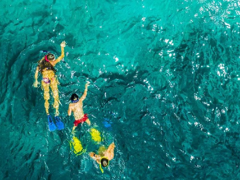 snorkelling